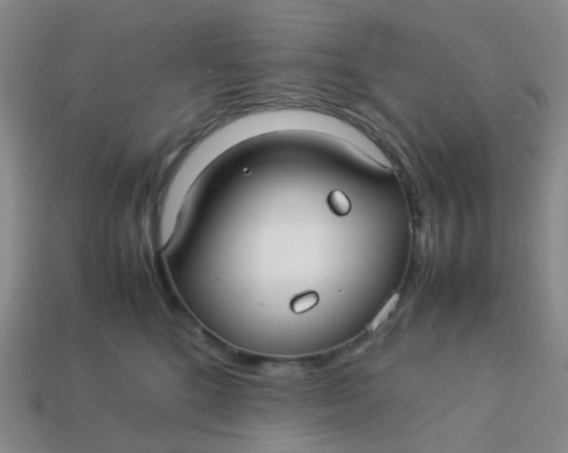 X0000113760520200910141051