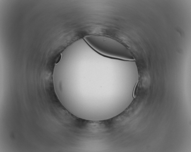 X0000113760521200910141051