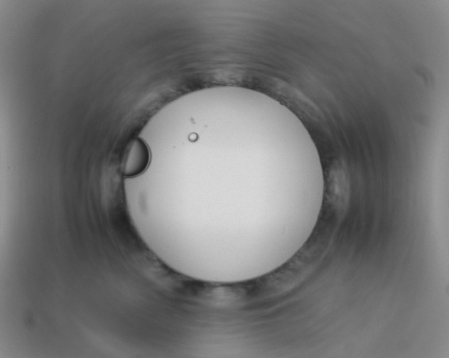 X0000113760522200910141051