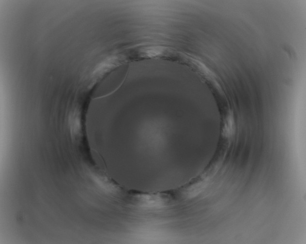 X0000113760524200910141051