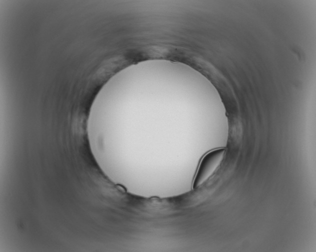 X0000113760525200910141051