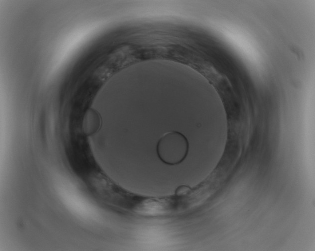 X0000113760526200910141051