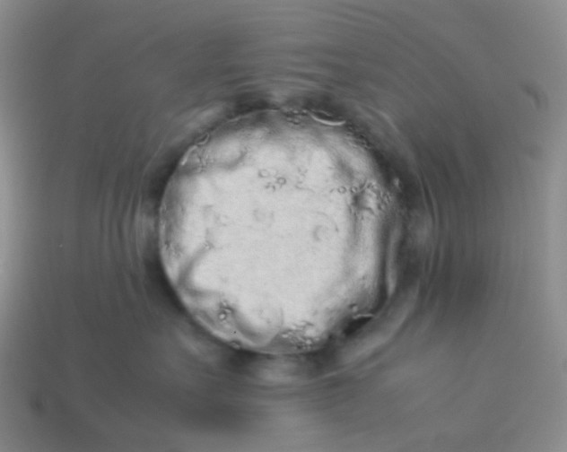 X0000113760527200910141051