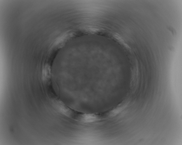 X0000113760528200910141051