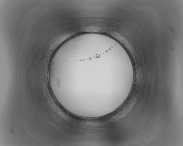 X0000113760529200910141050