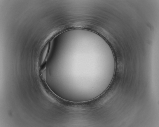 X0000113760530200910141050