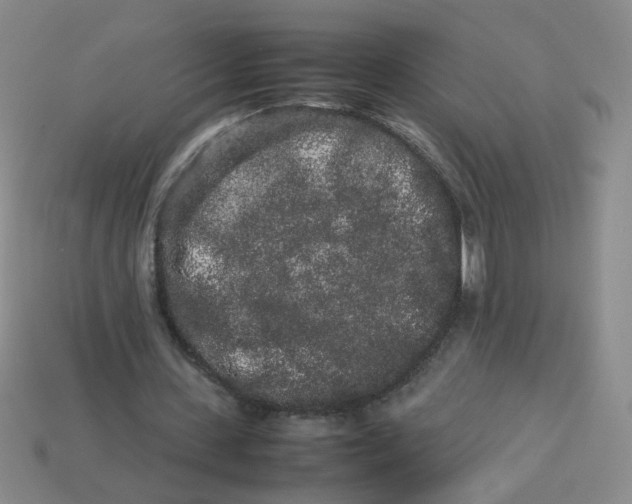 X0000113760531200910141050