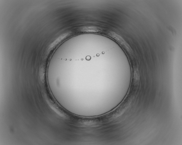 X0000113760533200910141050