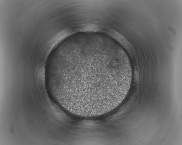 X0000113760534200910141050