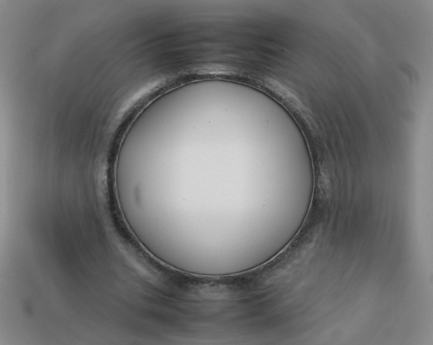 X0000113760535200910141050