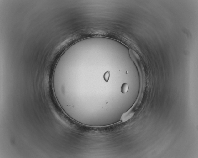 X0000113760538200910141050