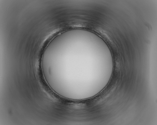 X0000113760539200910141050