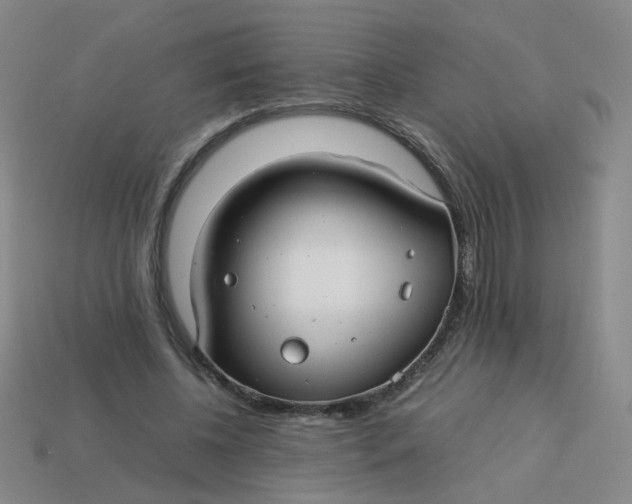 X0000113760540200910141050