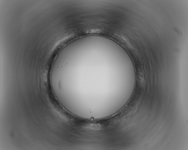 X0000113760543200910141050