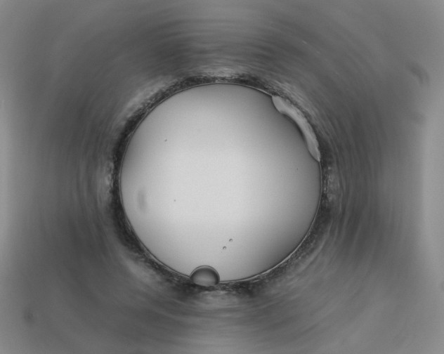 X0000113760544200910141050