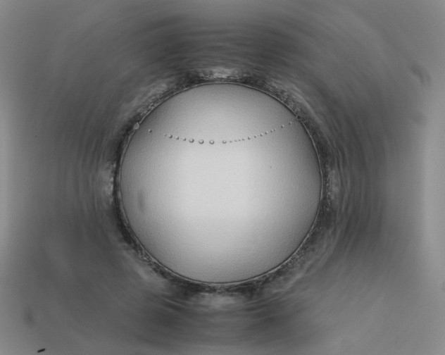 X0000113760545200910141050