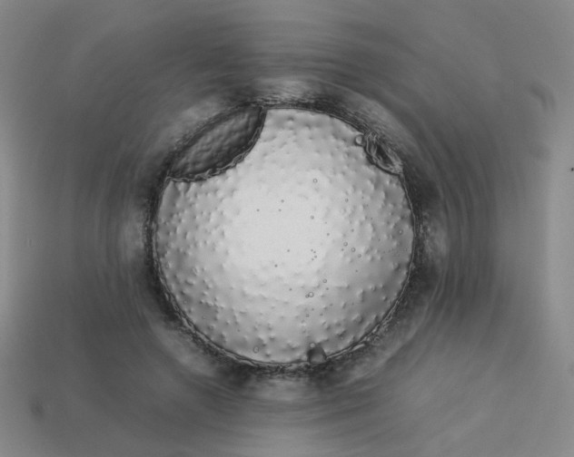 X0000113760546200910141050