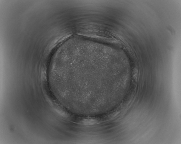 X0000113760547200910141050