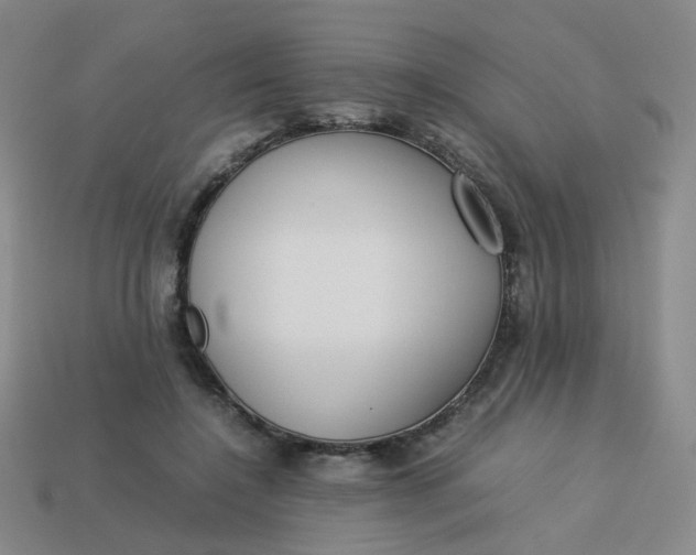 X0000113760548200910141050