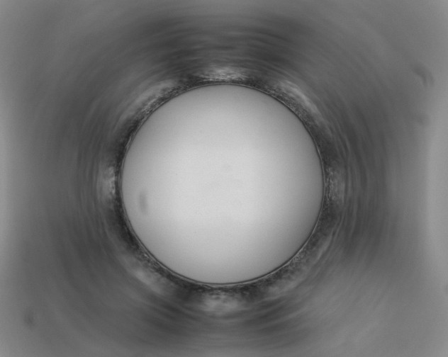 X0000113760549200910141050