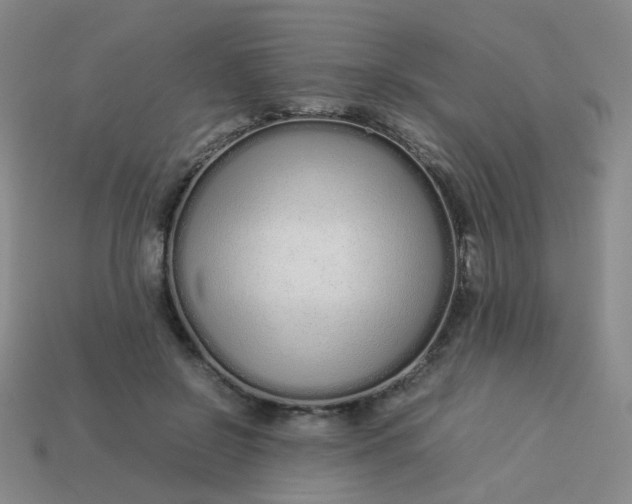 X0000113760550200910141050