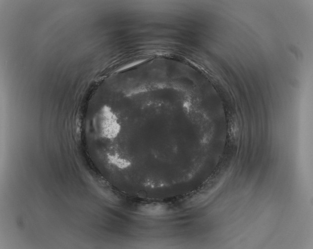 X0000113760551200910141050