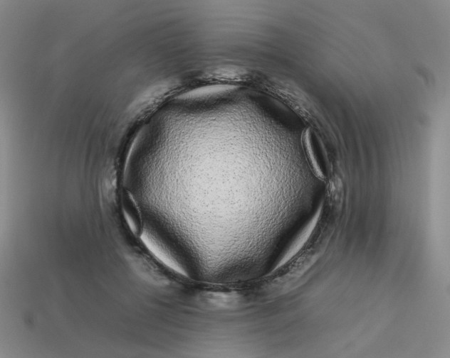 X0000113760552200910141050