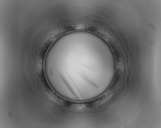 X0000113760554200910141050