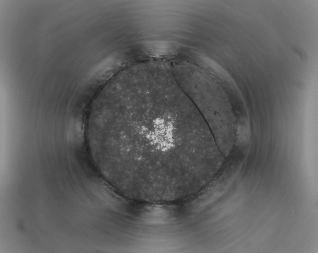 X0000113760558200910141050