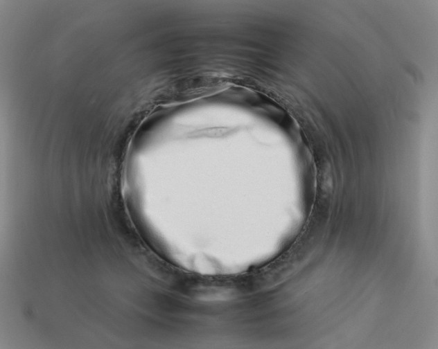 X0000113760559200910141050