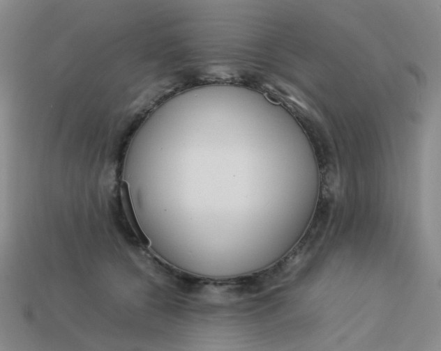 X0000113760560200910141050