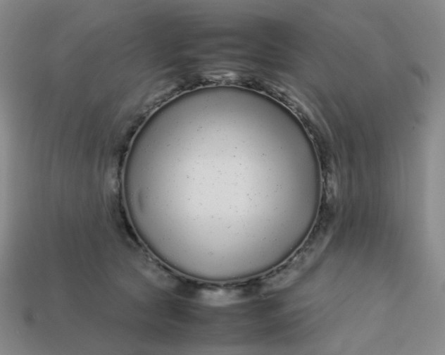 X0000113760561200910141050