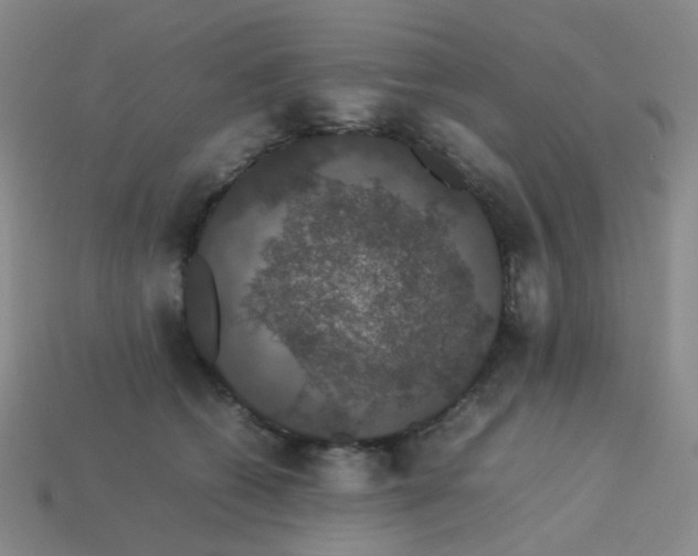 X0000113760562200910141050