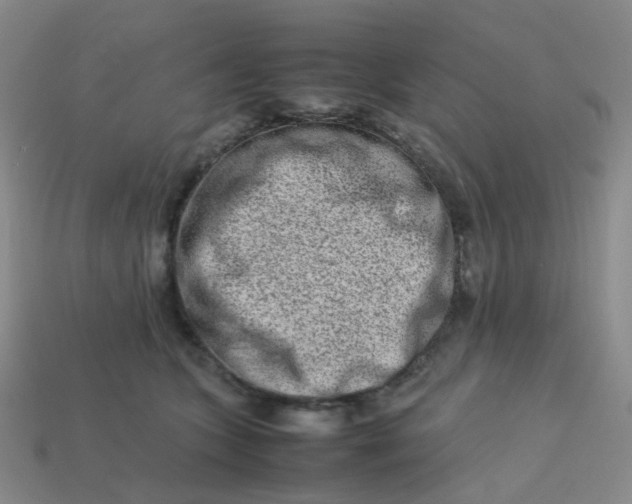 X0000113760563200910141050