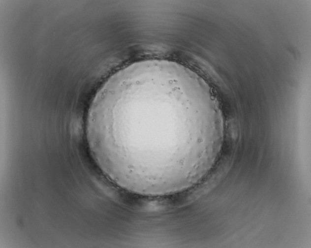 X0000113760564200910141050