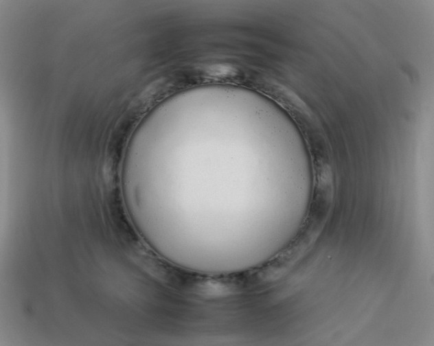 X0000113760565200910141050