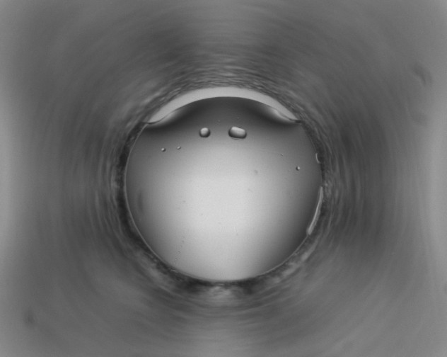 X0000113760566200910141050