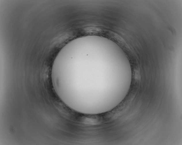 X0000113760567200910141050