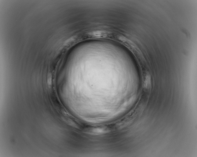 X0000113760569200910141050