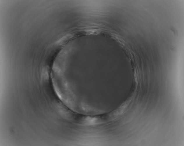 X0000113760570200910141050