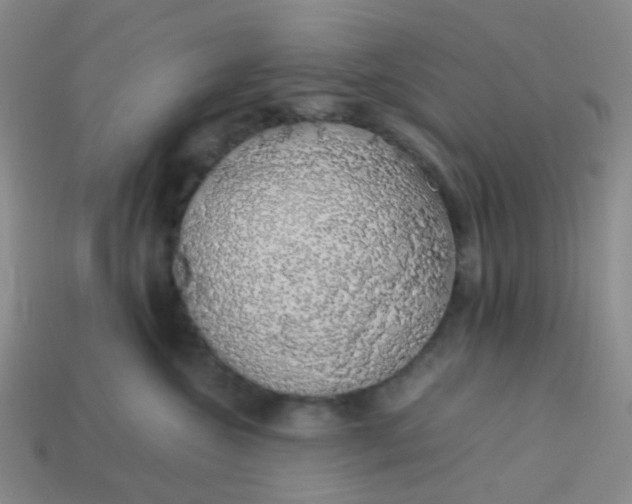 X0000113760572200910141051