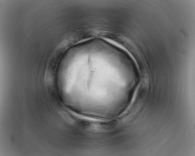 X0000113760573200910141051