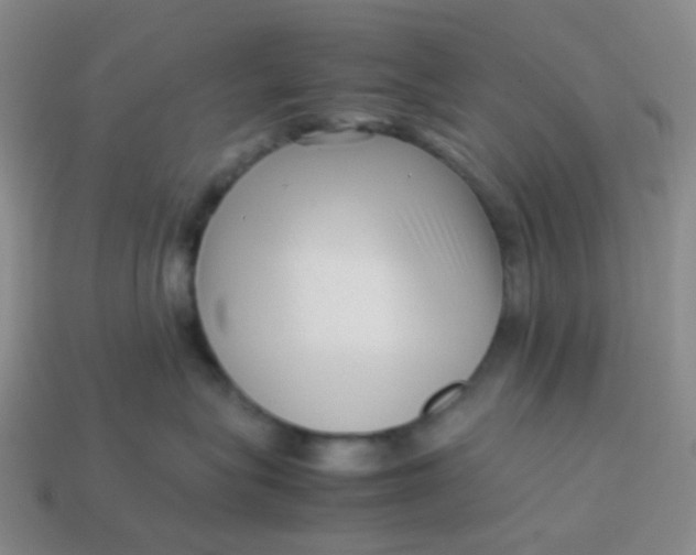 X0000113760575200910141051