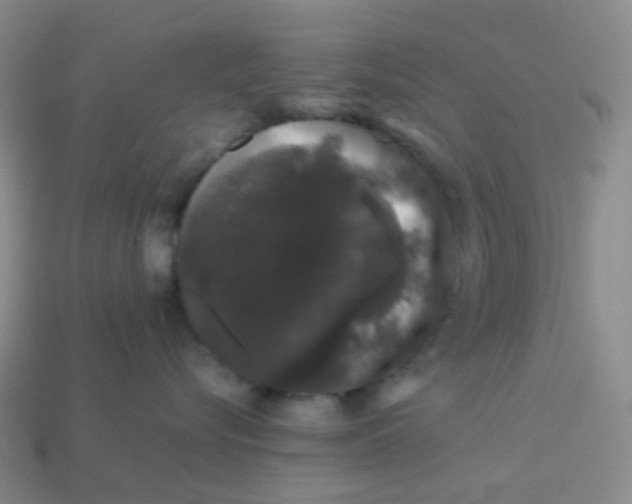 X0000113760576200910141051