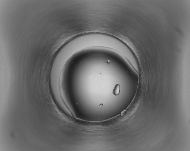 X0000113760577200910141050