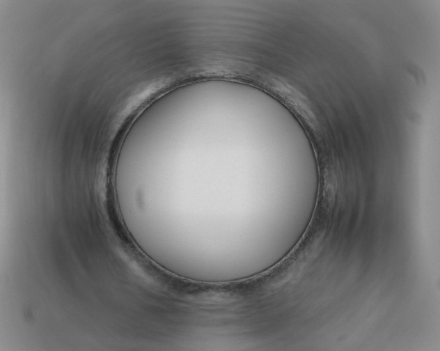 X0000113760578200910141050