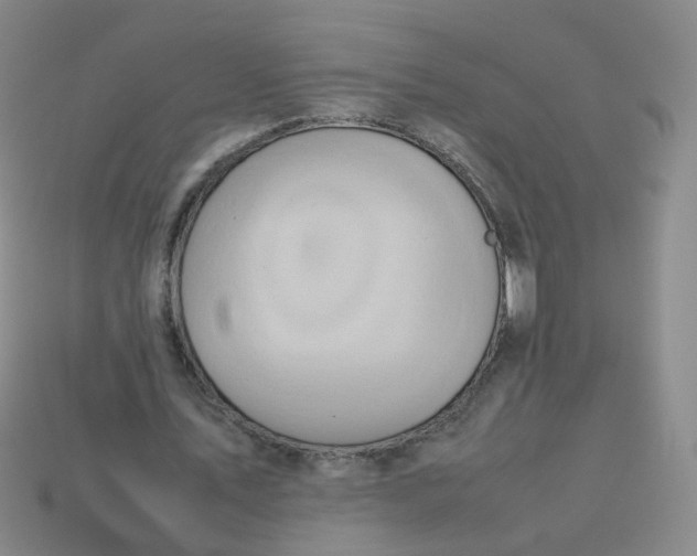 X0000113760579200910141050