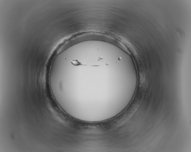 X0000113760580200910141050