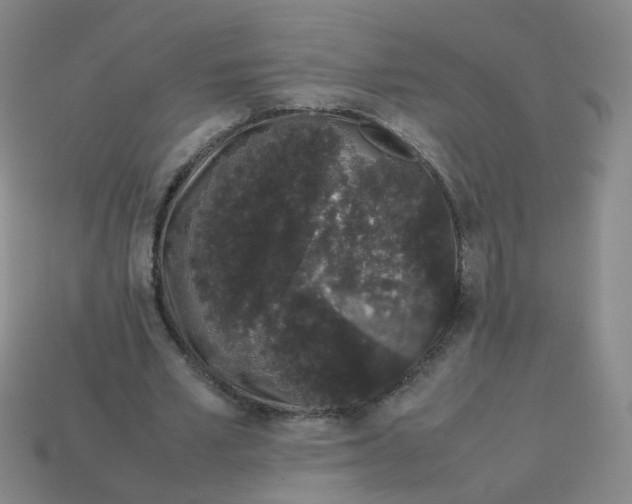 X0000113760581200910141050