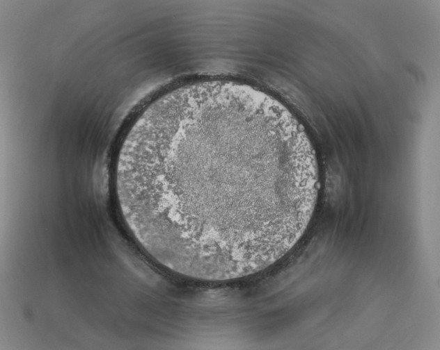 X0000113760584200910141050